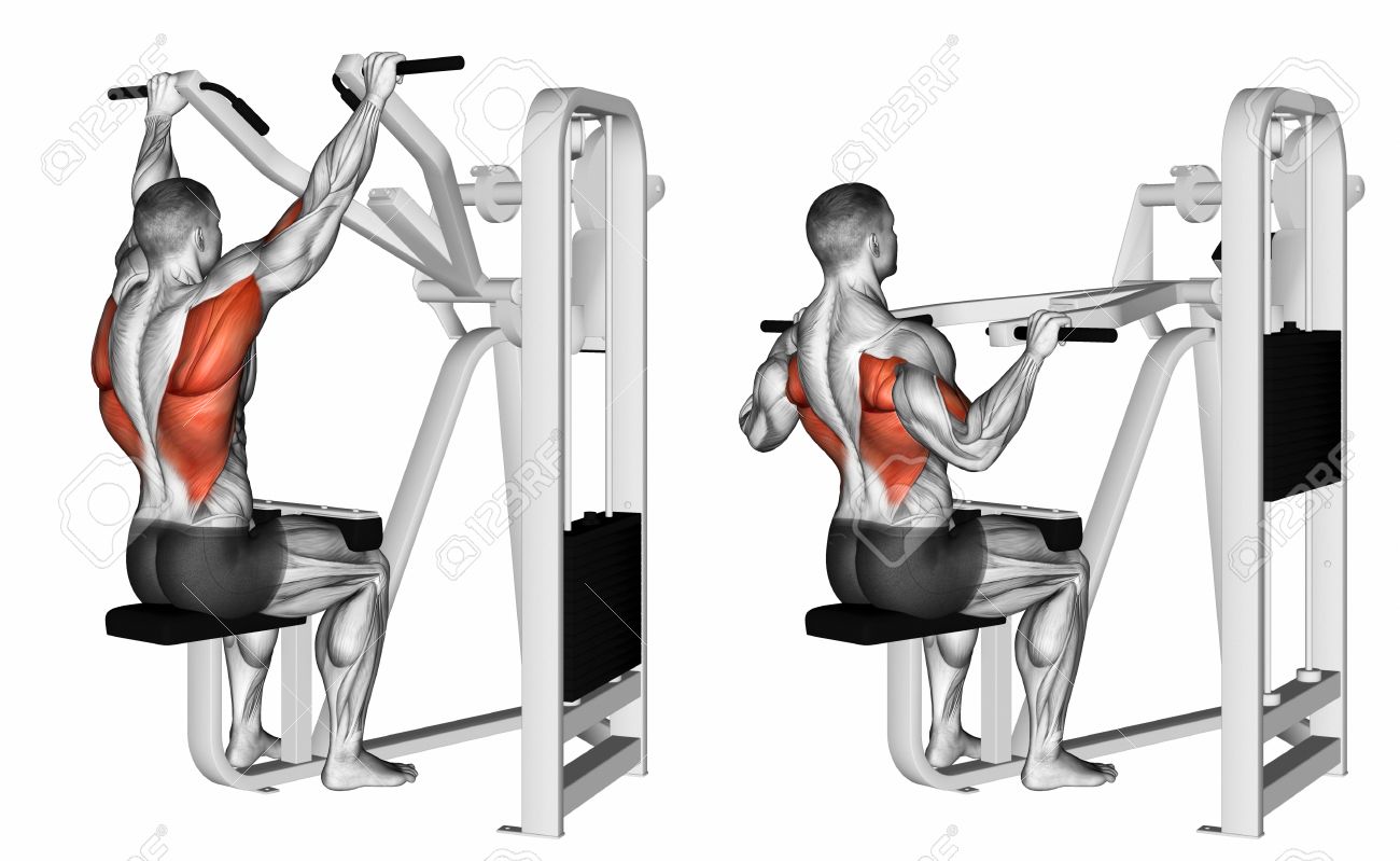 Here is Why Lat Pull Down Machines are best for Muscle Growth