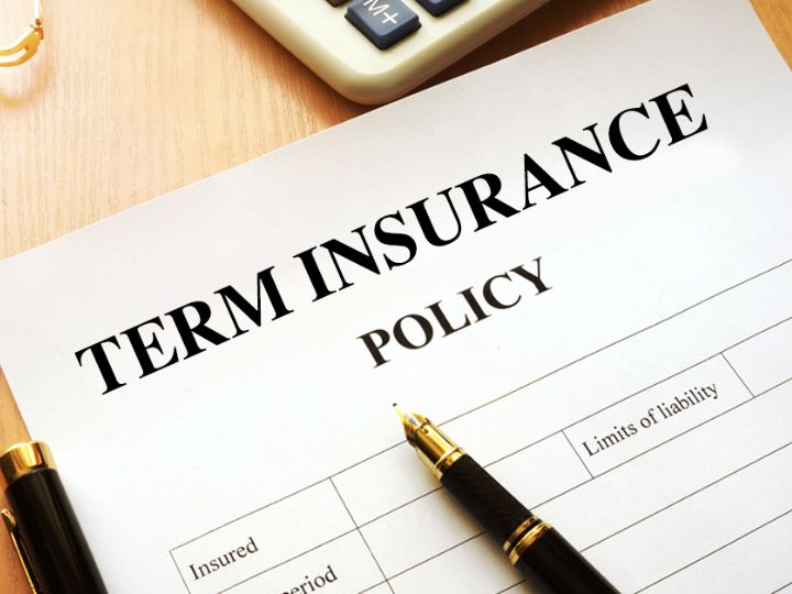 term insurance plan