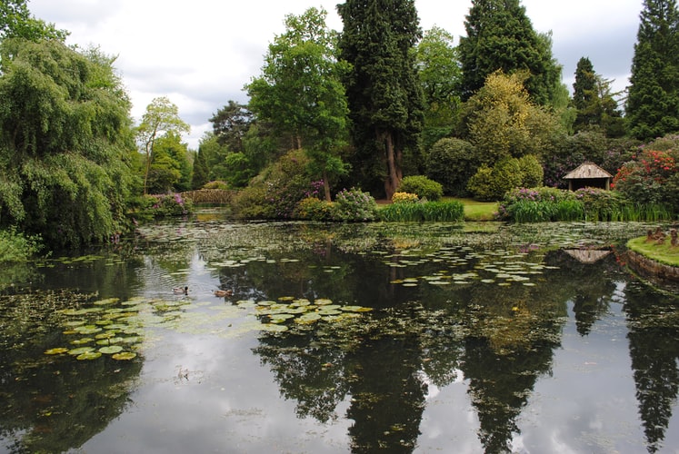 The Pros and Cons of Having a Pond on Your Property