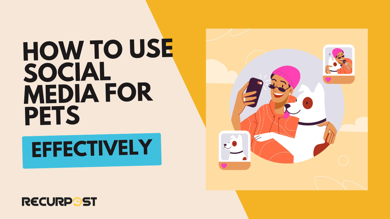 How to Use Social Media for Pets